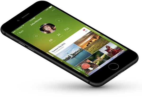 Image non disponible